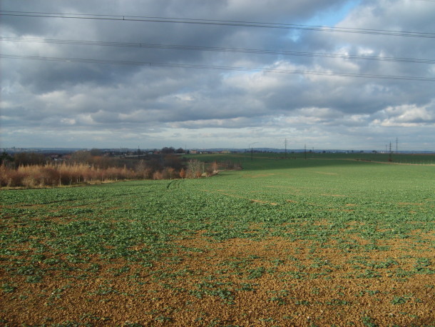 Free photo: Field in Czech republic