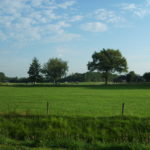 Spring meadow in the Netherlands Spring meadow in the Netherlands.