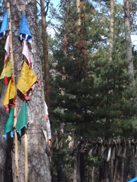 Shamanic tree in Mongolia Shamanic tree in Mongolia