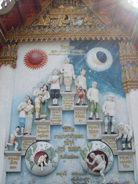 Cycle of life and rebirth Cycle of life and rebirth