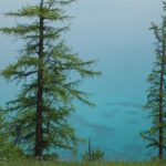 Crystal clear water in Khövsgöl lake