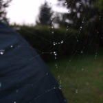 Spider web