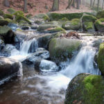 Rapids on small river