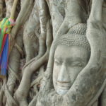 Buddha's Head In The Tree Photo of Buddha's head in the tree in Thailand.