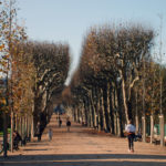 Autumn park in Paris