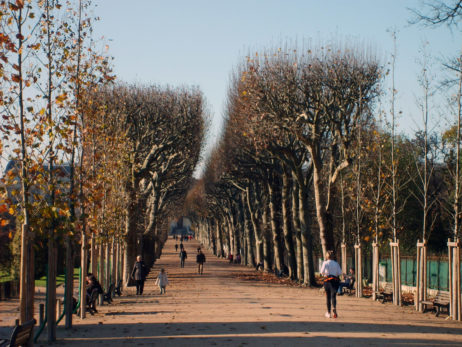 Autumn park in Paris Autumn park in Paris