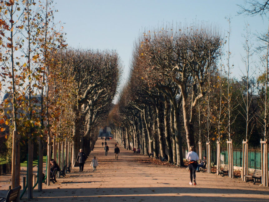 Free photo: Autumn park in Paris