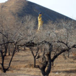 Buddha statue in Mongolia