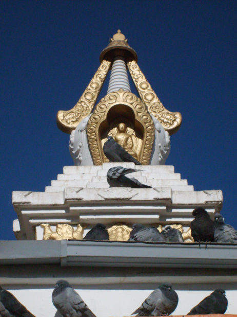 Buddhist stupa and pigeons Buddhist stupa and pigeons