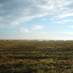 Czech field in autmn Czech field in autmn