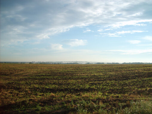 Czech field in autmn