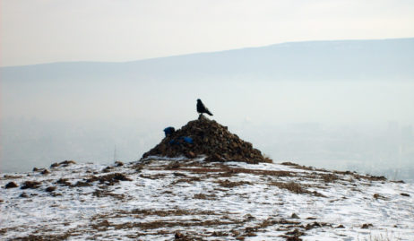 Mongolian ovoo and raven Mongolian ovoo and raven