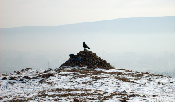 Free photo: Mongolian ovoo and raven