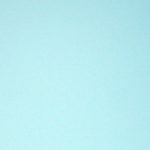 Seagull flying in the sky. Seagull flying in the sky.