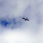 Airplane in the sky