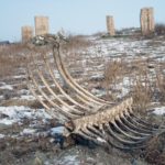 Bones on cemetery