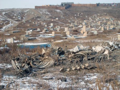 Cemetery in Ulaanbaatar Cemetery in Ulaanbaatar
