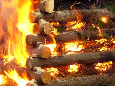 Burning wood Burning wood