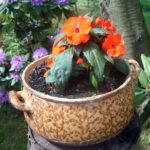 Flowerpot with flowers Flowerpot with flowers