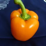 Orange pepper Orange paprika