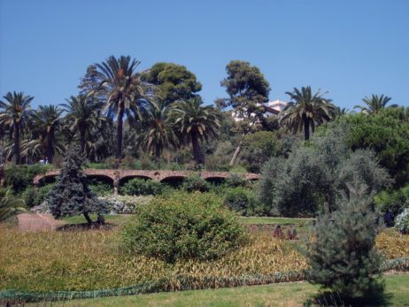 Park Guell Park Guell