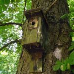 Birdhouse