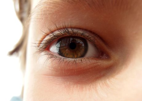 Brown Eye Brown Eye
