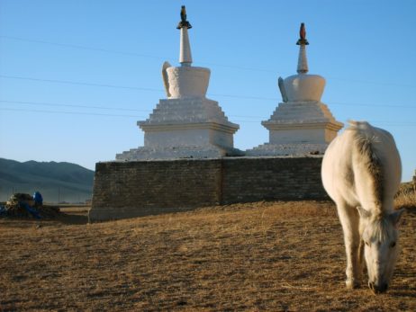 White Horse Buddha White Horse Buddha