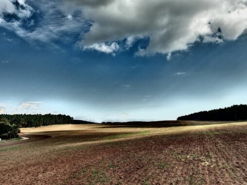 Plowed Fields