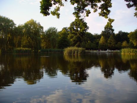 Reflections of Trees on the Water Reflections of Trees on the Water