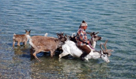 Reindeer People Reindeer People