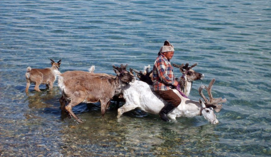 Free photo: Reindeer People