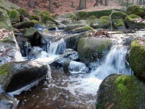 Petite cascade