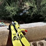 Snorkeling Equipment
