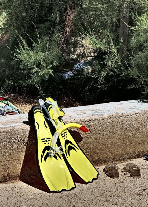 Free photo: Snorkeling Equipment