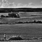 Girl In The Fields Girl In The Fields