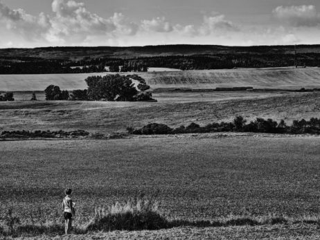 Girl In The Fields Girl In The Fields