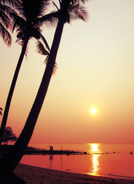 Sunset on the beach with palm tree Sunset on the beach with palm tree
