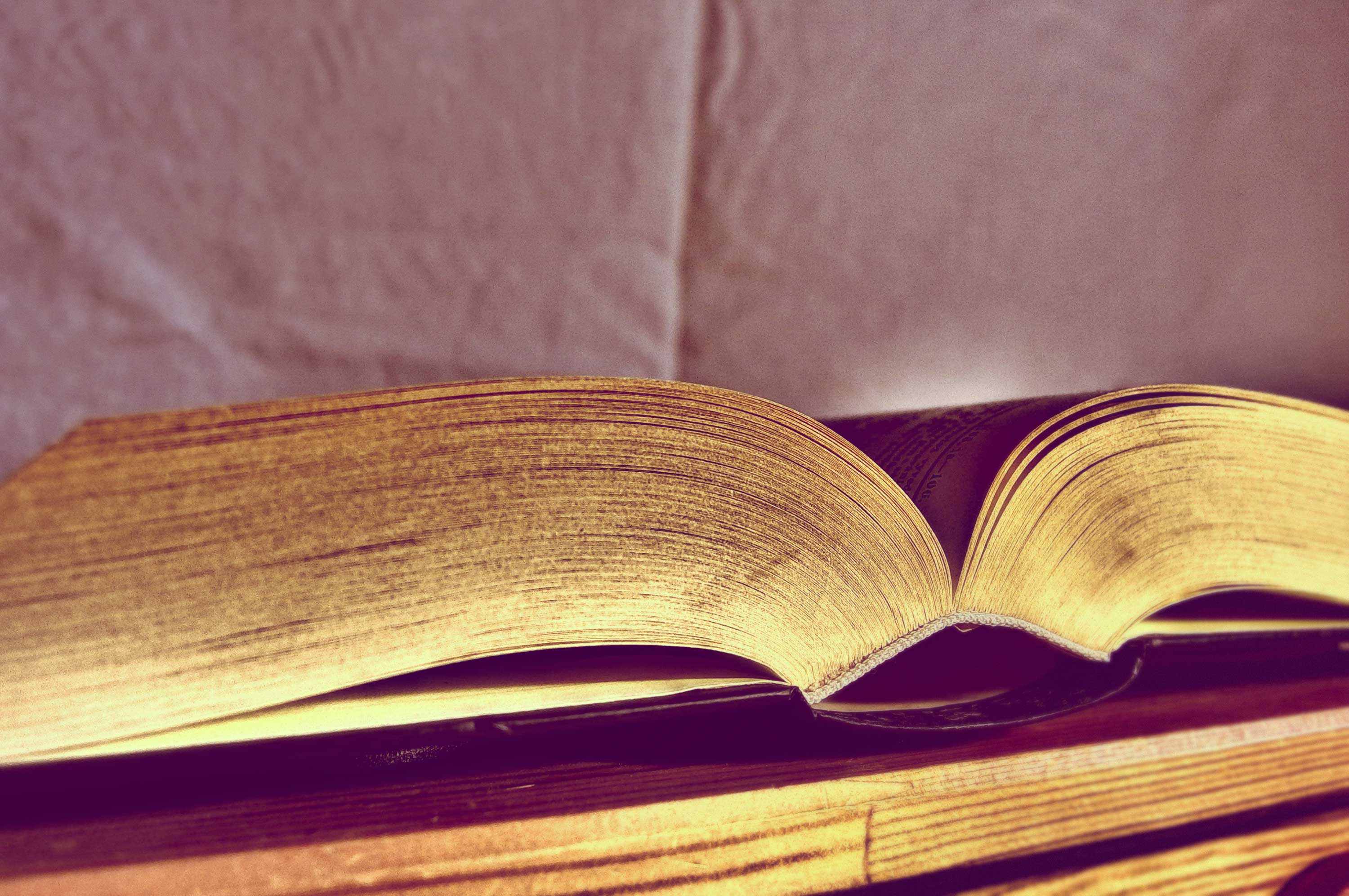 Free Image Open Book Libreshot Free Stock Photos