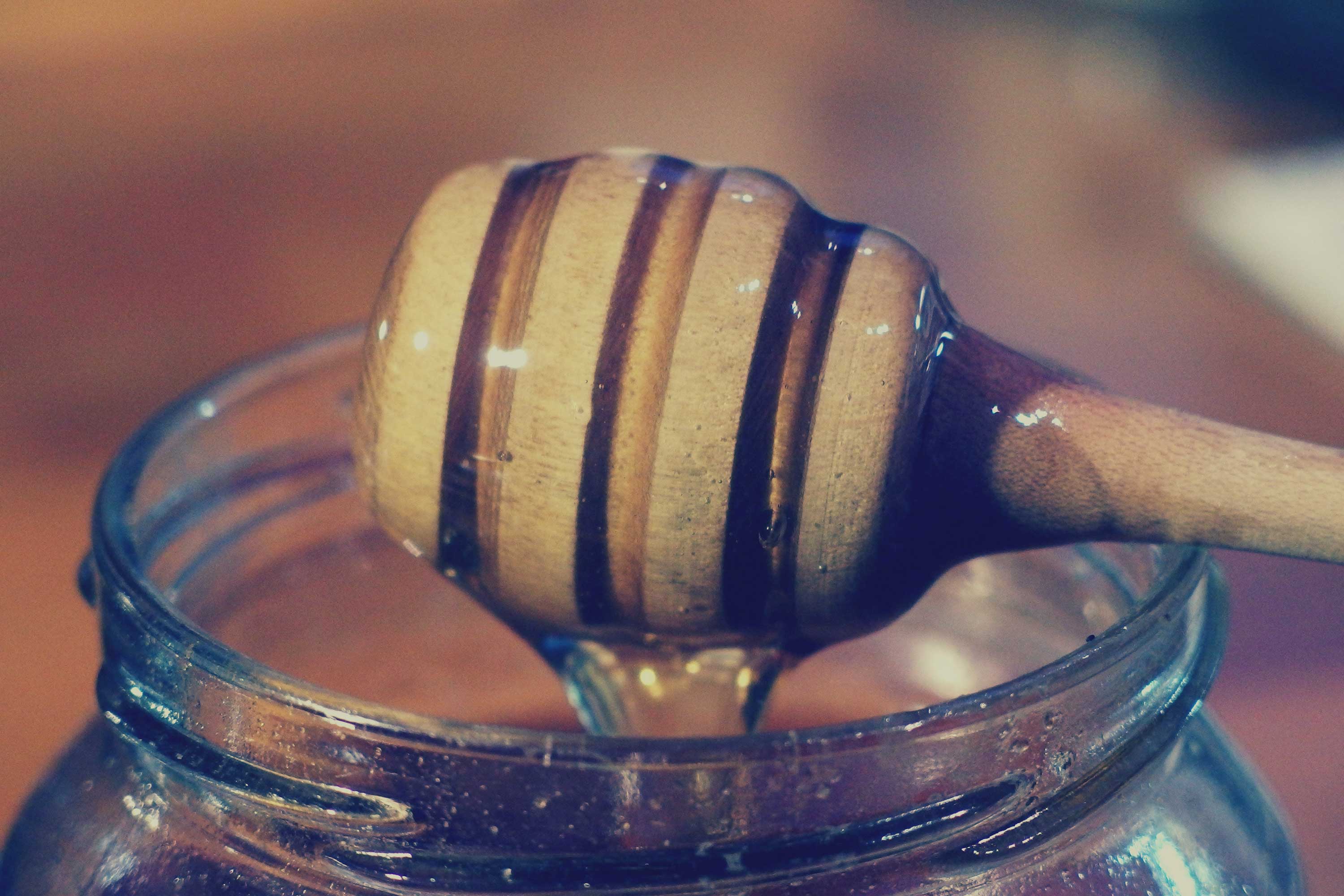 Honey Dipper | Free Stock Photo | LibreShot