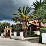 Palm Bar