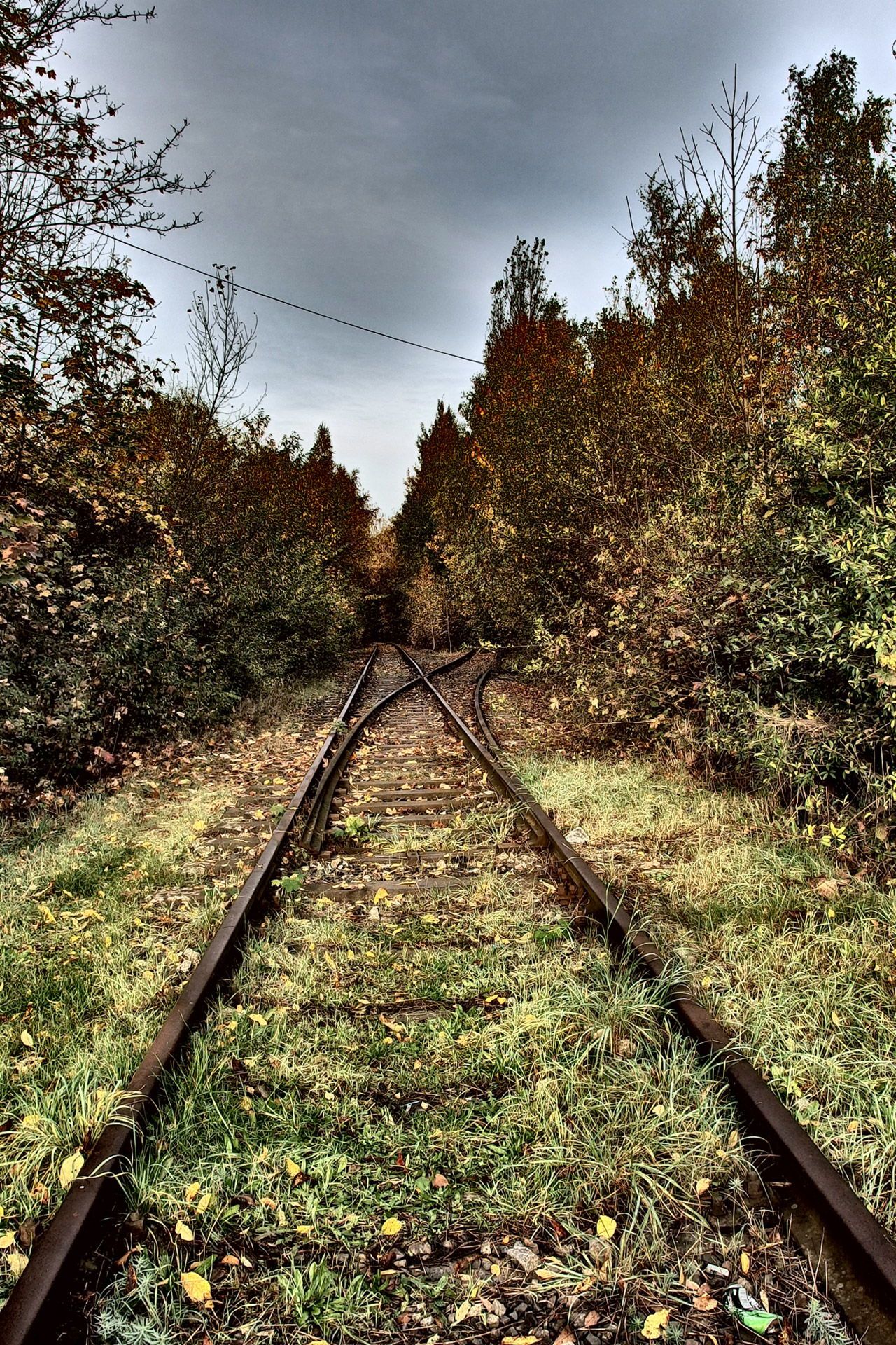 FREE IMAGE Old Train Tracks Libreshot Public Domain Photos