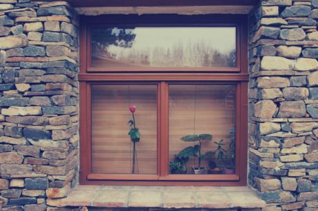 Window Window