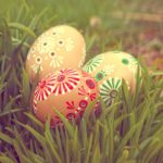 Grass and Eggs Free photo: Grass and Eggs