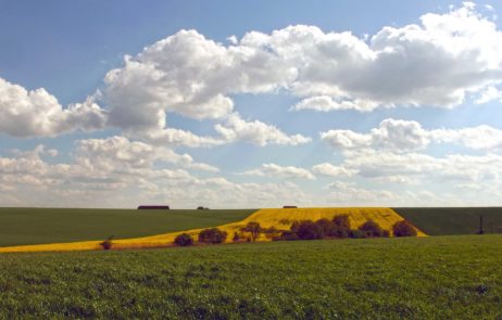 Field Field