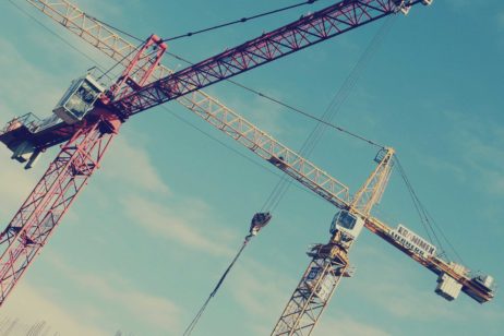 Cranes Cranes