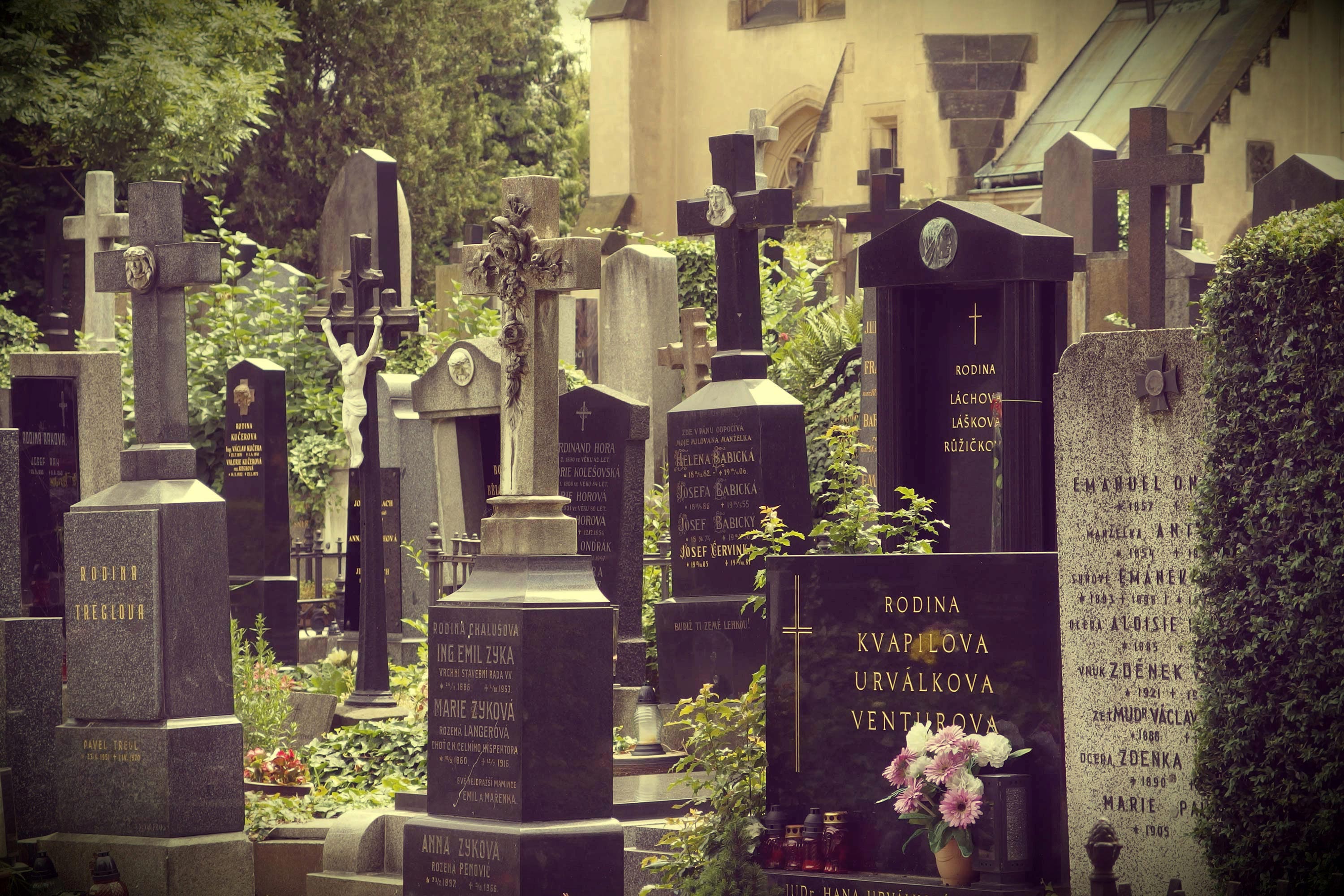 FREE IMAGE: Cemetery | Libreshot Public Domain Photos