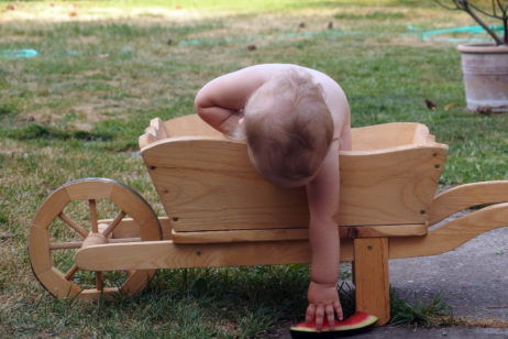 Baby In A Wheelbarrow Baby In A Wheelbarrow