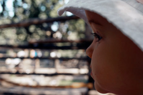 Face of a little girl Face of a little girl