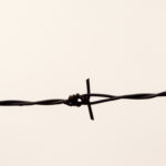 Barbed Wire Free photo: Barbed Wire